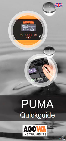 Thumbnail for PUMA OLED Quickguide